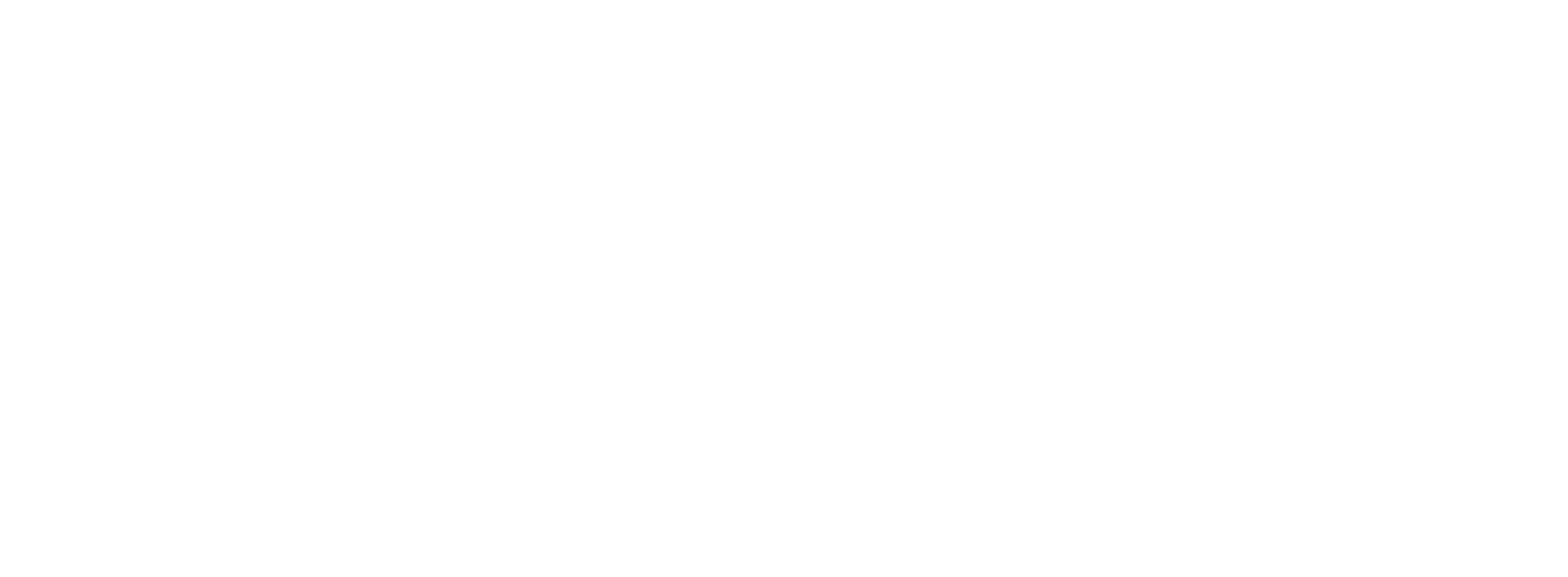 安徽中丞控股集團有限公司